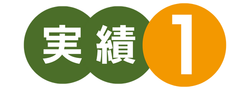実績1