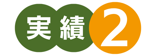 実績2