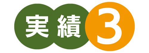 実績3